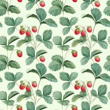 Yaprakları ile suluboya çilek