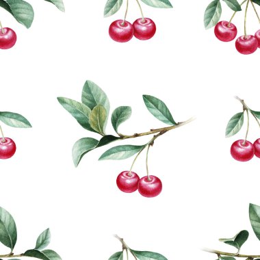 Suluboya kiraz yaprakları ile