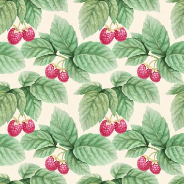 Suluboya Ahududu yaprakları ile