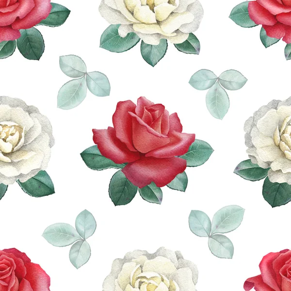 Set rose acquerello — Foto Stock