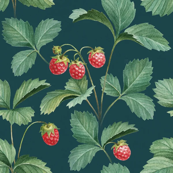 Aquarell Erdbeeren mit Blättern — Stockfoto