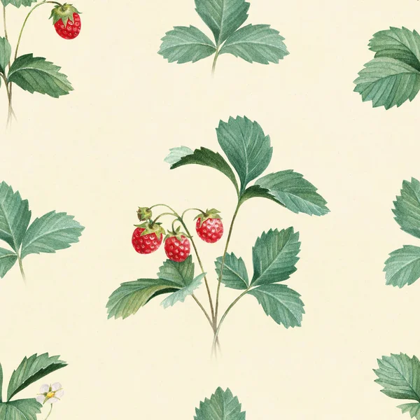 Ακουαρέλα φράουλες με φύλλα — Φωτογραφία Αρχείου