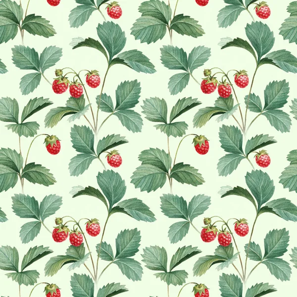 Watercolor strawberries with leaves — Stock Photo, Image