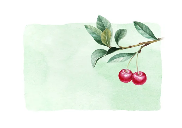 Watercolor cherries with leaves — Stock Photo, Image