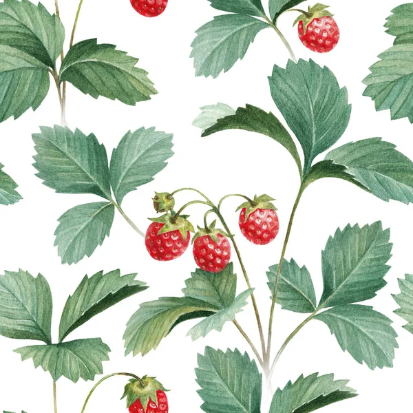 Fragole acquerello con foglie — Foto Stock