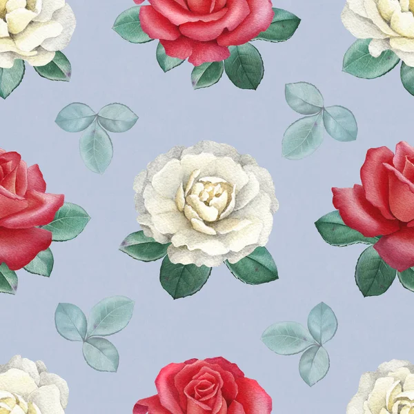Aquarela rosas conjunto — Fotografia de Stock