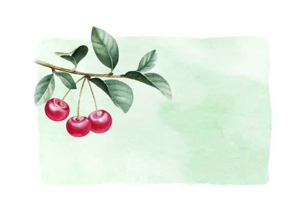 Watercolor cherries with leaves — Stock Photo, Image