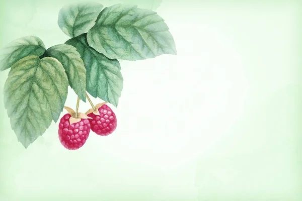 Watercolor raspberries with leaves — Stock Photo, Image