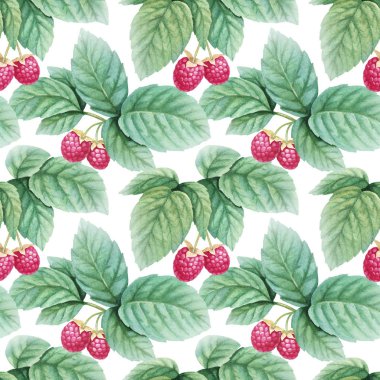 Olgun ahududu dallarında