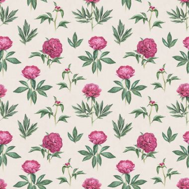 Pembe şakayık çiçekleri