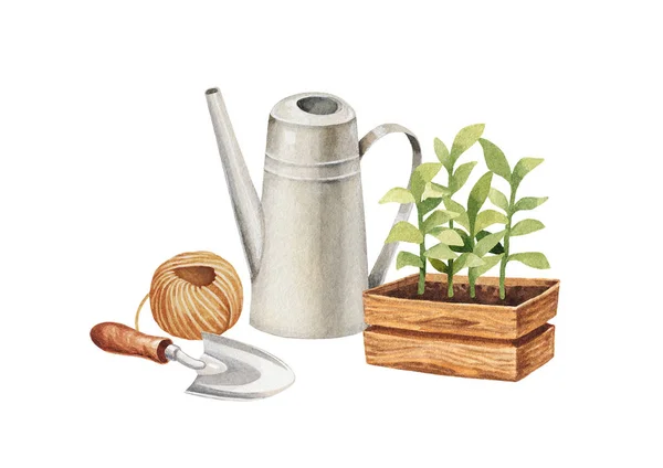 Plantas y herramientas de jardín —  Fotos de Stock
