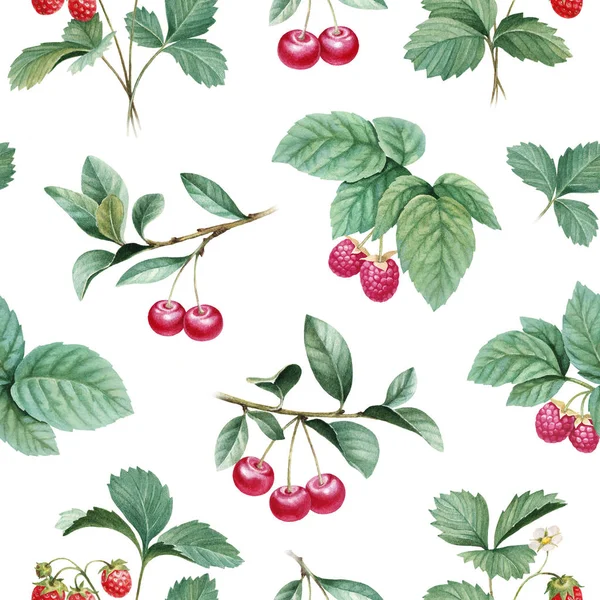 Κλαδιά από ώριμες φράουλες — Φωτογραφία Αρχείου