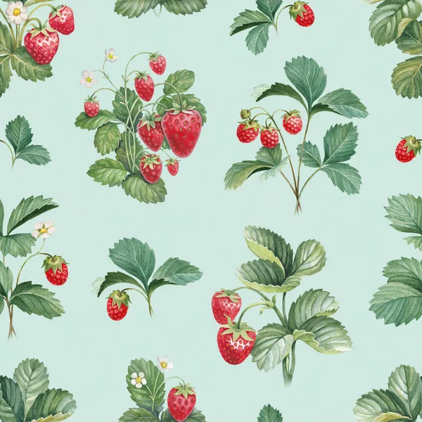 Grenar av mogna jordgubbar — Stockfoto