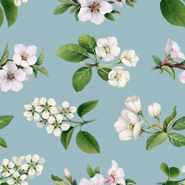 Flores blancas de manzano en flor — Foto de Stock