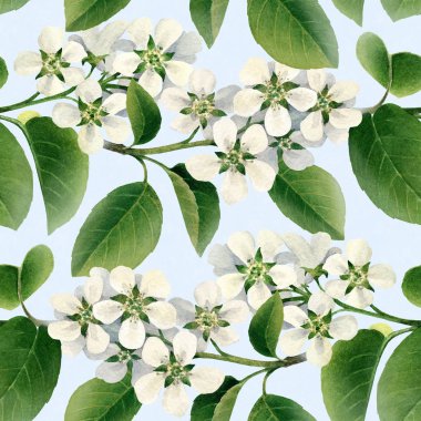 Suluboya bahar çiçekleri. El çiçek açan ağaçlar boyalı. Sorunsuz