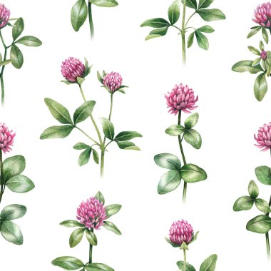 Suluboya çizimler yonca çiçek. Seamless modeli