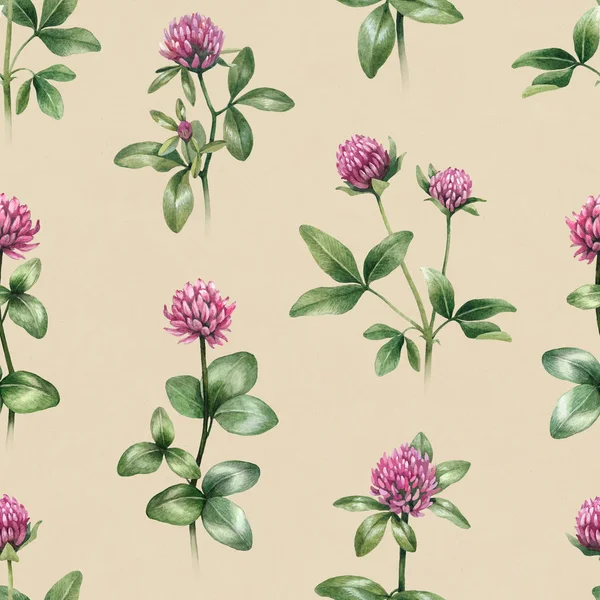 Akvarell Illustrationer Klöver Blommor Seamless Mönster — Stockfoto