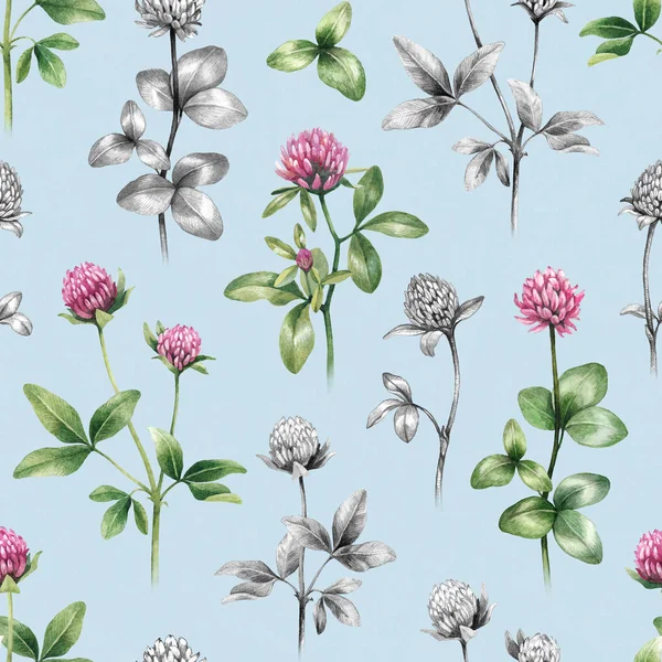 クローバーの花のイラスト シームレス パターン — ストック写真