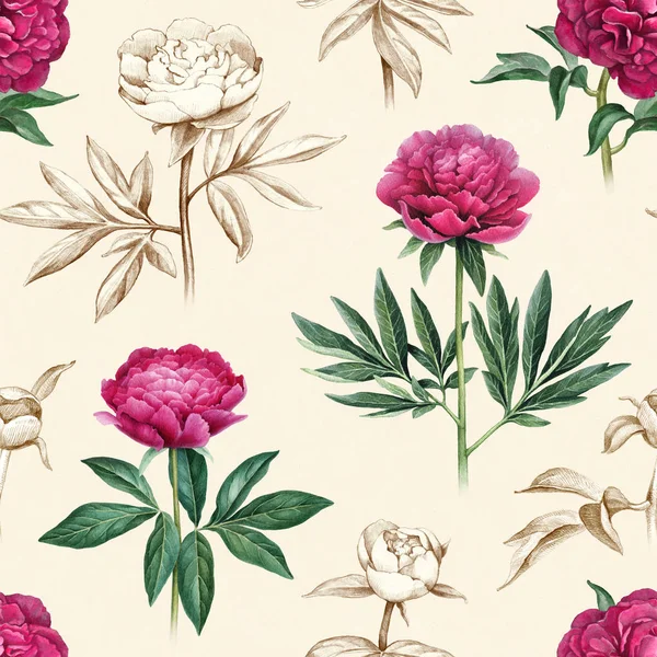 Illustrations Peony Flowers Seamless Pattern — Stock Photo, Image