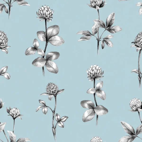 Drawings Clover Flowers Seamless Pattern — Stock Photo, Image