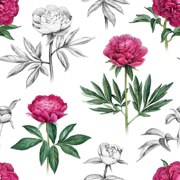 Illustrations Peony Flowers Seamless Pattern — Stock Photo, Image