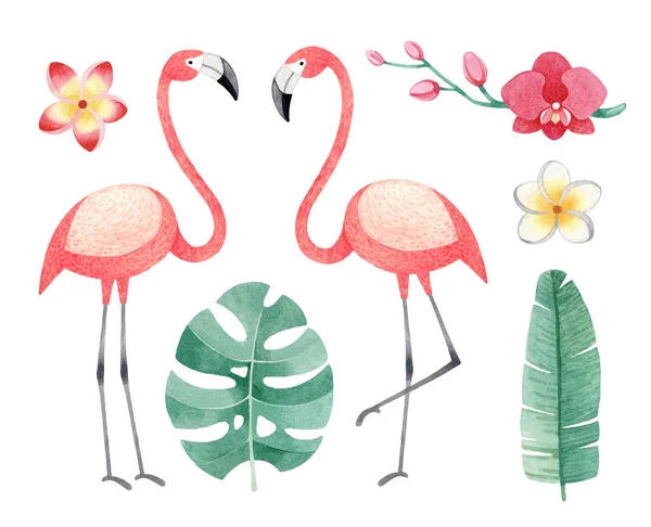 Aquarel Illustraties Van Flamingo Tropische Bloemen Bladeren — Stockfoto