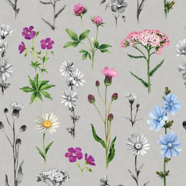 Watercolor illustrations of wild flowers. Seamless pattern clipart