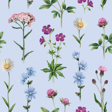 Kır çiçekleri suluboya resimler. Seamless modeli
