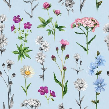 Kır çiçekleri suluboya resimler. Seamless modeli