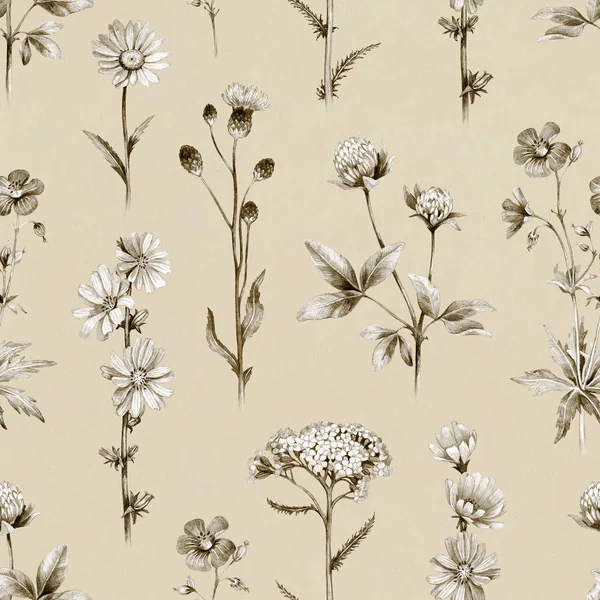 Bleistiftzeichnungen Von Wildblumen Nahtloses Muster — Stockfoto