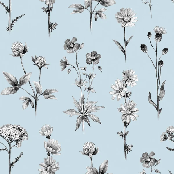 Blyertsteckningar Vilda Blommor Seamless Mönster — Stockfoto