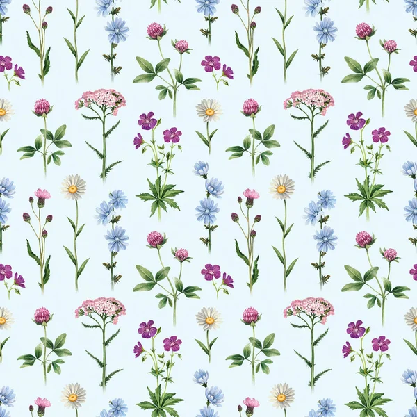 Watercolor Illustrations Wild Flowers Seamless Pattern — Stock Photo, Image