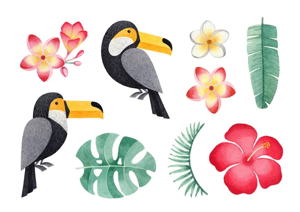 Ilustraciones Acuarela Tucanes Flores Tropicales Hojas — Foto de Stock