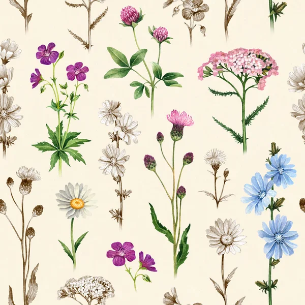 Aquarell Illustrationen Von Wildblumen Nahtloses Muster — Stockfoto