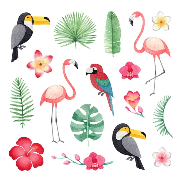 Watercolor illustrations of a parrot, toucanes, flamingos, tropi — Stock Photo, Image