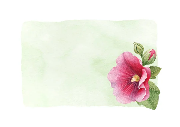 Ilustración Acuarela Una Flor Malva Perfecto Para Tarjetas Felicitación Invitaciones —  Fotos de Stock