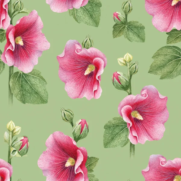 Illustrations Mallow Flowers Seamless Patter — Stock Photo, Image