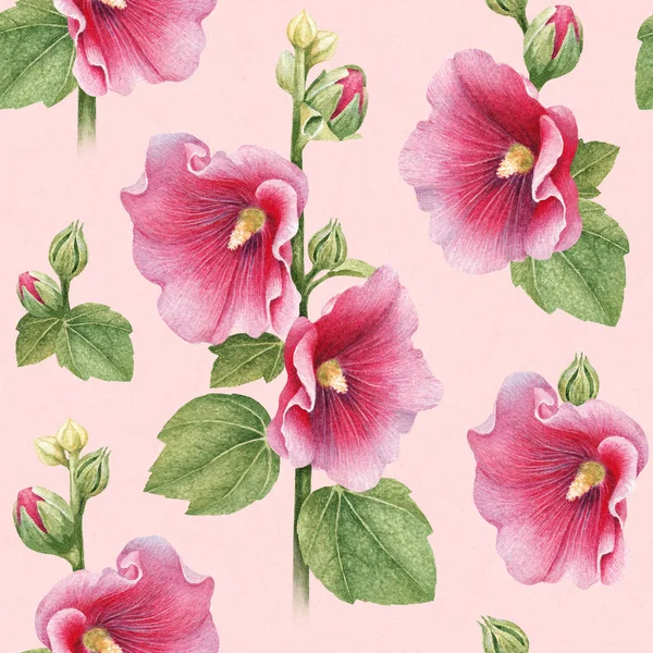 Illustrations Mallow Flowers Seamless Patter — Stock Photo, Image