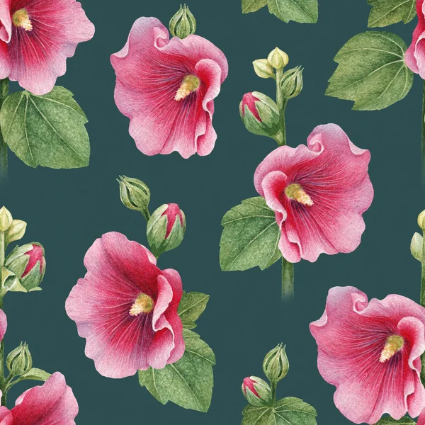 Illustrations Mallow Flowers Seamless Patter — Stock Photo, Image