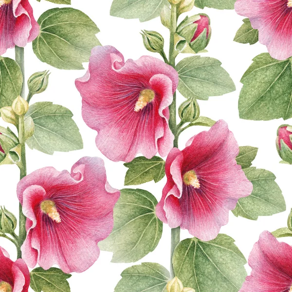 Ilustracje Kwiatów Malwy Tupot Bezszwowe — Zdjęcie stockowe