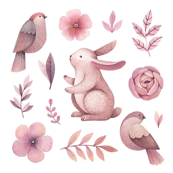 Watercolor Illustrations Bunny Birds Flowers — Stock Photo, Image