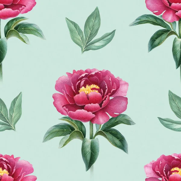 Aquarel Peony Bloemen Illustratie Naadloze Patroon — Stockfoto