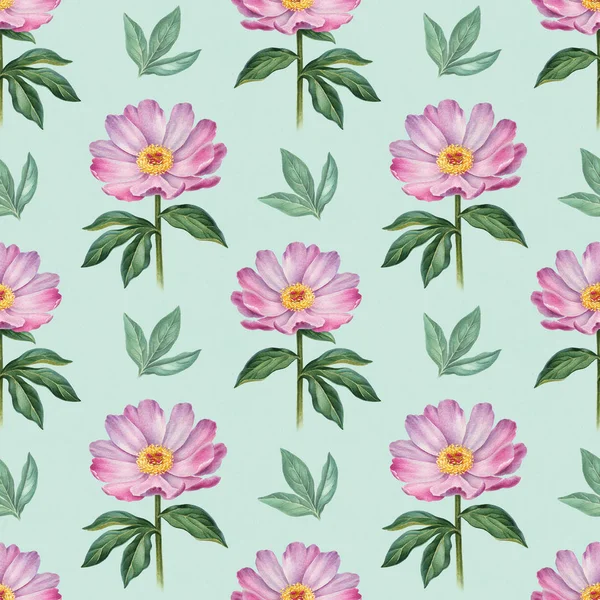 Watercolor Peony Flowers Illustration Seamless Pattern — Stock Photo, Image