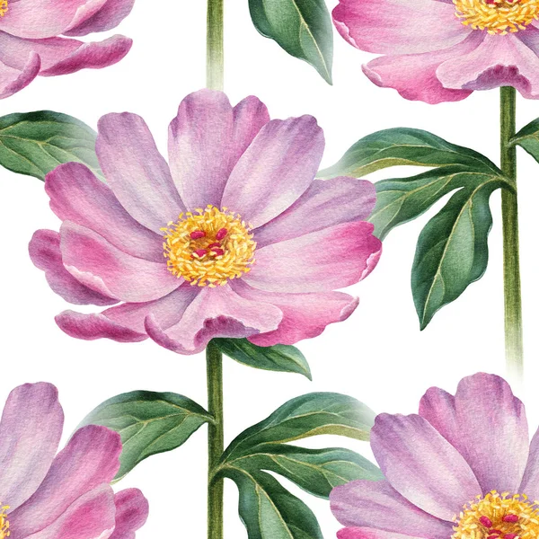 Ilustracja Kwiat Piwonii Akwarela Wzór — Zdjęcie stockowe