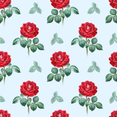 Suluboya çizimler bir gül. Seamless modeli