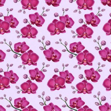 Suluboya çizimler orkide. Seamless modeli