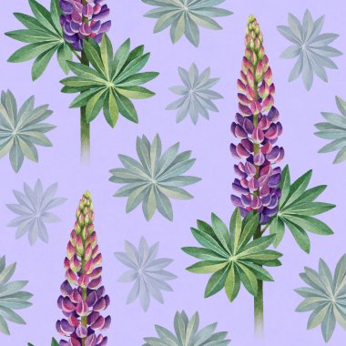 Vahşi lupines suluboya resimler. Seamless modeli