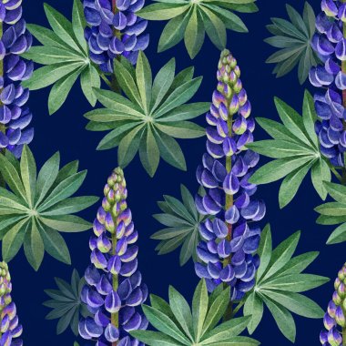 Vahşi lupines suluboya resimler. Seamless modeli