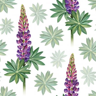 Vahşi lupines suluboya resimler. Seamless modeli