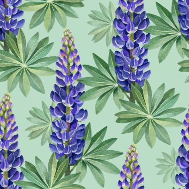 Vahşi lupines suluboya resimler. Seamless modeli